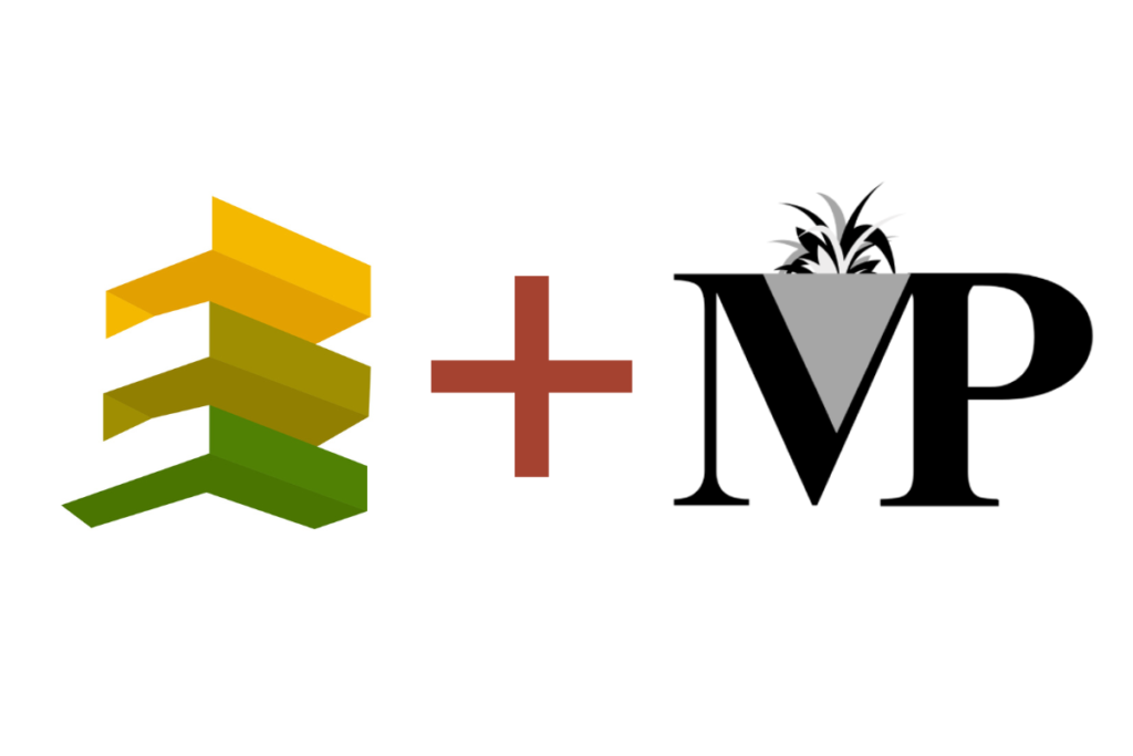 E+Mckenzie=growth