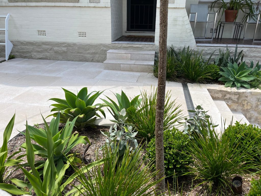 Bondi Courtyard